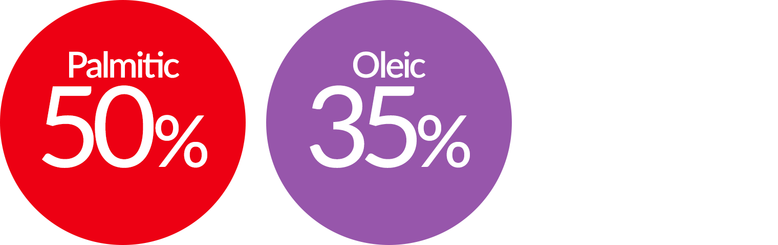 50% Palmitic, 35% Oleic, 8% Omega-6