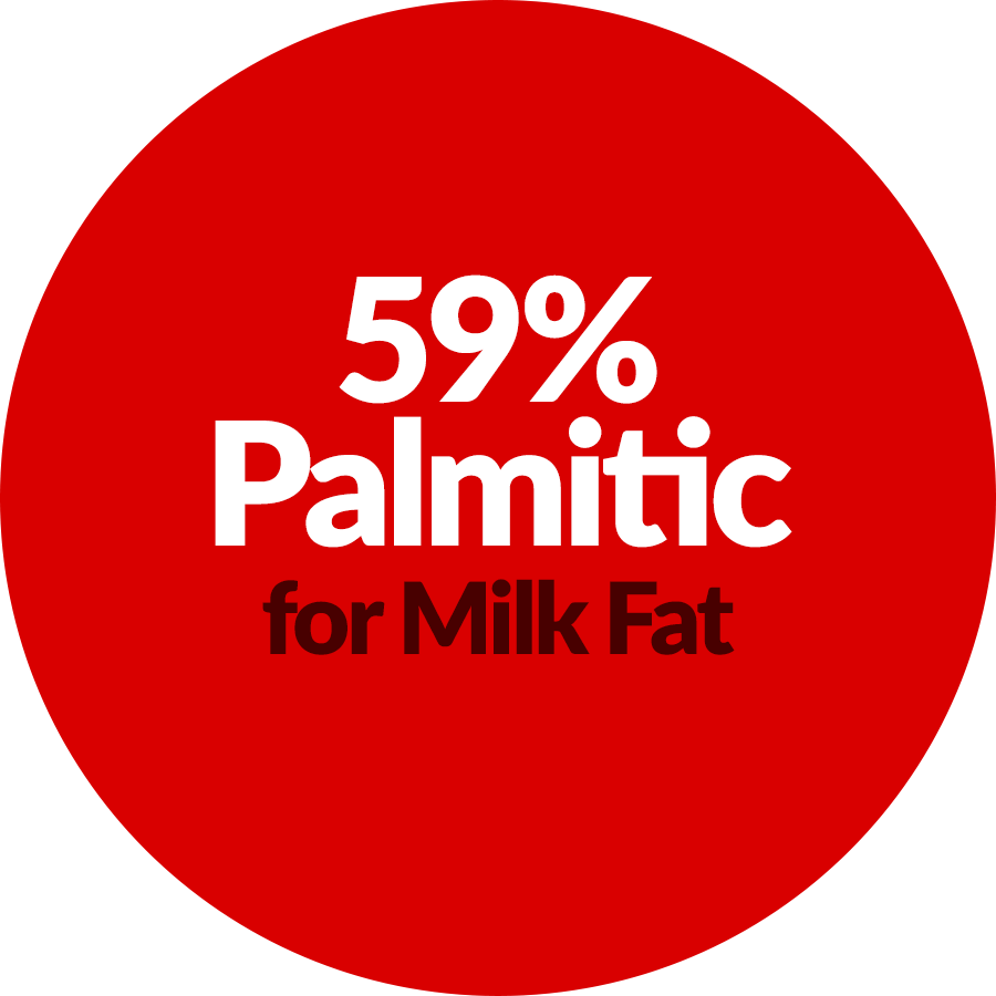 55% Palmitic for Milk Fat
