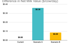Milk-Fat-Valuator-Screen-Net-Milk-Value-Cow