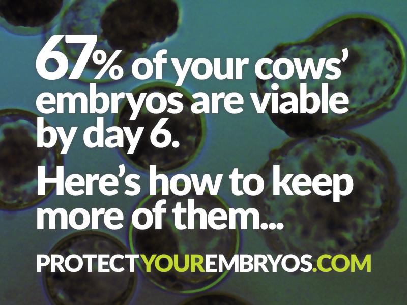 Get the FREE eBook on embryo retention!
