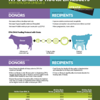 IVF & Embryo Transfer Guide PDF