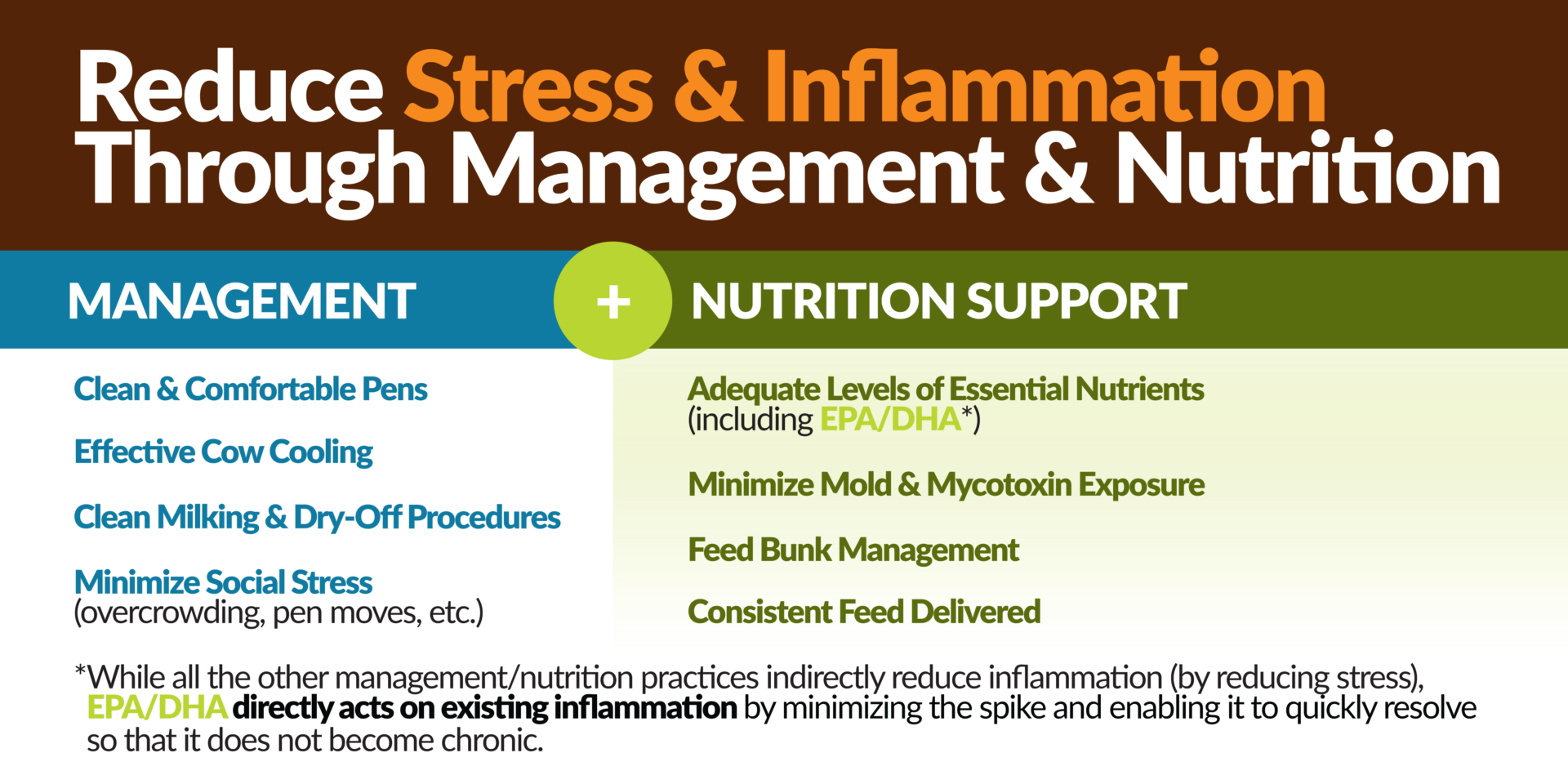 Reduce Stress & Inflammation Through Management & Nutrition