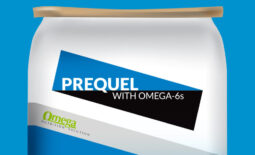 Prequel with Omega-6s