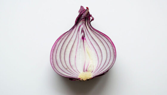 Photo showing the layers of an onion