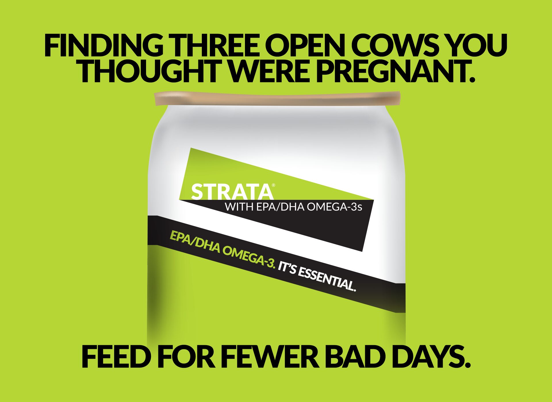 Finding three open cows you thought were pregnant. Feed Strata for fewer bad days.