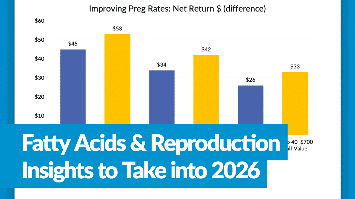 header-insights-2026 Fatty Acid & Repro Insights for 2026