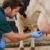 udderhealth-header