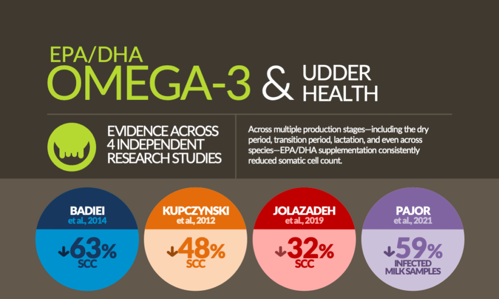 EPA-DHA-SCC-studies EPA/DHA effect on SCC study results