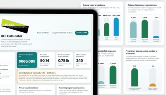 Strata ROI Blog Header